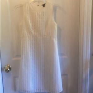 Ann Taylor NWT women’s OOP lace sleeveless dress